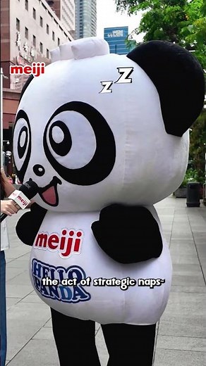 Hello Panda Interview