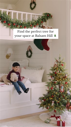 28K views · 797 reactions | We believe every space deserves a beautiful Christmas tree. Discover our collection of trees designed to fit perfectly, even in the coziest of homes. Shop now: https://bit.ly/4qETzD3 | Balsam Hill | Facebook