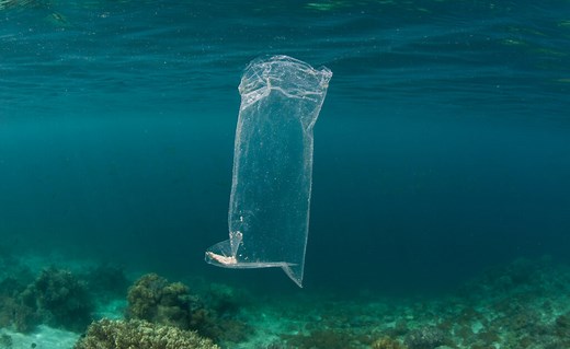 ¿Cuánto tarda en desaparecer una bolsa de plástico?