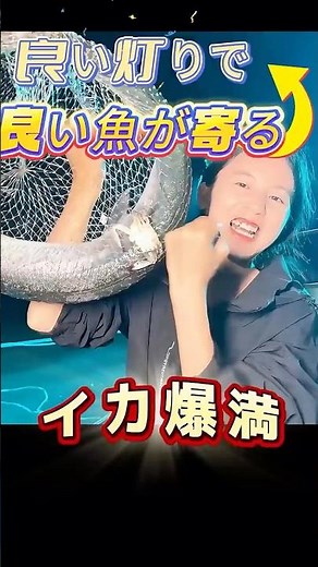 私たちの#集魚灯 を使って大きな#イカ を釣り上げたこと、おめでとうございます！