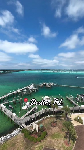Something about that bright blue water😍 Crab Island! #crabisland #tiktok #crabislanddestin #florida #ocean #destinflorida #crabislanddestinflorida #crabislandjimmyscharters #trending #dolphins #foryou #planningvacation #vacation #traveltok @teo. 🕷