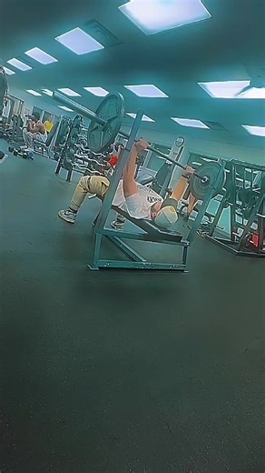 Alpha coin is here to stay, be an Alpha. Join the movement today! $1BMC incoming! $ALPHA#AlphaFitnessChallenge #BothHoldingAlpha@alphaofsol @brodyc52