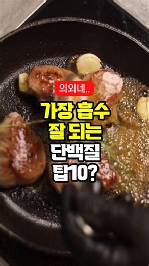가장 흡수가 잘되는 단백질 랭킹 TOP10