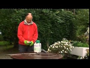 Concentrates | Video | Roundup Weedkiller