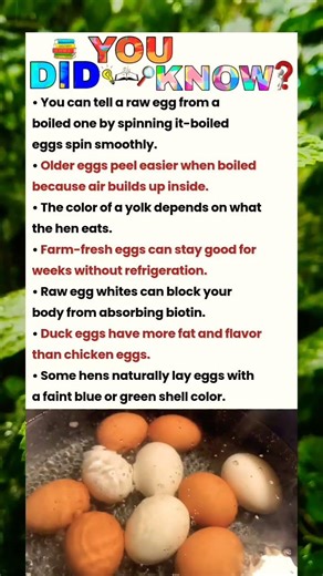 you call tell a raw egg from a..