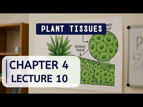 CH#04 Cells and Tissues | Lec#10 | Class 9 Sindh Board Biology