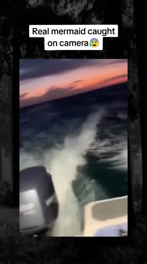 they are real... #creepy #strange #fyp #mermaid #scary | mermaids