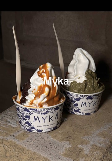 NYC Froyo: Myka's Honest Review of Frozen Yogurt