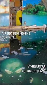 Murray Bridge Bunyip upkeep, behind the scenes