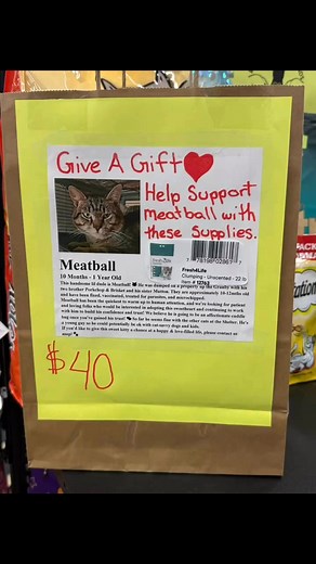 Come and support a cat, you can set them up with a supply package or adopt one! #petvalucanada #cats | Pet Valu | Facebook