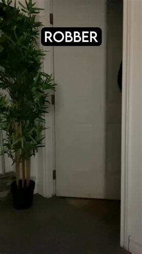 39K views · 694 reactions | How Dog Breeds React to Robbers PT 1 | Phalla Ath | Facebook