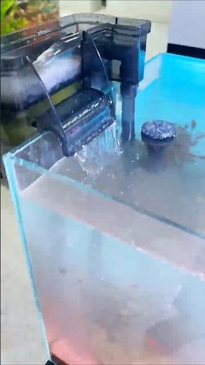 Best budget fish tank filter for crystal clear water! 🐟✨ #FishTankFilter #AquariumGear #FishKeeping