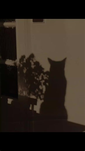 Editsbymf 🎀 (@.editsbymf)’s videos with original sound - bot_xyzZ