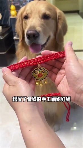 又是一年喽，给毛孩子安排这个好看又便宜的长命锁吊坠吧，多种款式可选，搭配手工编织红绳、狗狗戴上真的很可爱#狗狗项链 #宠物项链 #宠物小金锁 #宠物长命锁 #狗狗小金锁