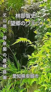 丈山苑、詩泉閣の唐様庭園（中庭)です。よくないですか？#林部智史 #望郷のワルツ#丈山苑 #詩泉閣#唐様庭園#和風庭園#日本庭園 #安城市 #風景#景色