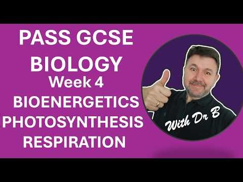 GCSE Biology Revision - BIOENERGETICS 2026