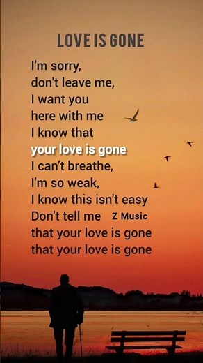 SLANDER ft. Dylan Matthew - Love is Gone #lyrics (Acoustic)I'm sorry, don't leave me #songlyrics