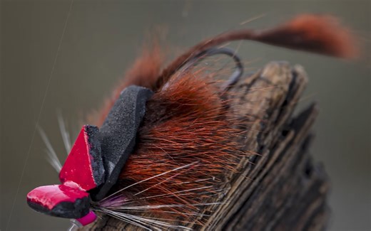 The Morrish Mouse | MidCurrent