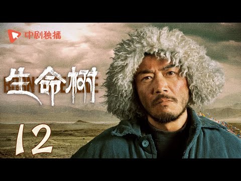 生命树 12 | Born to be alive 12（杨紫、胡歌、李光洁、张哲华、杨烁、梅婷 领衔主演）