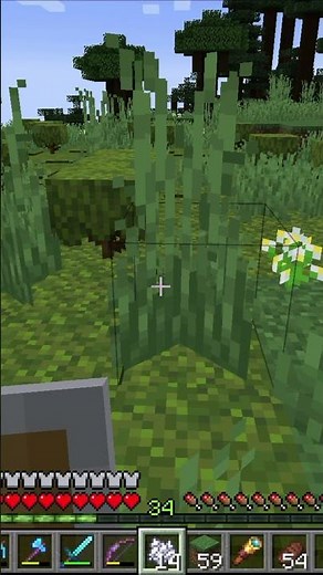How To Spread Moss in Minecraft