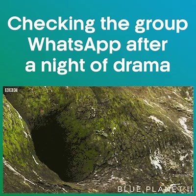 Everyone’s in at least one group like this! | BBC iPlayer