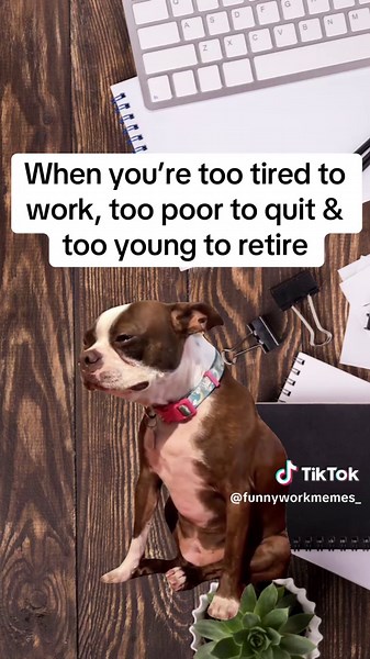 Navigating Work Challenges: Humor in Tough Times