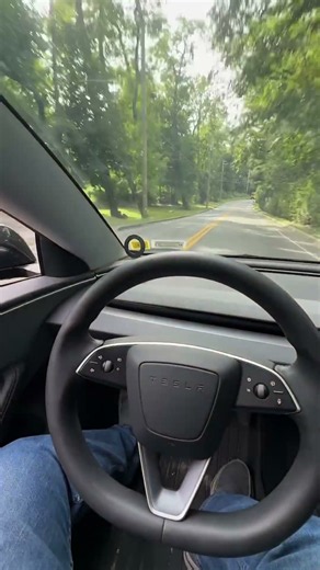Tesla FSD Takes Me Down a Crazy Winding Country Road! 🌲🚗