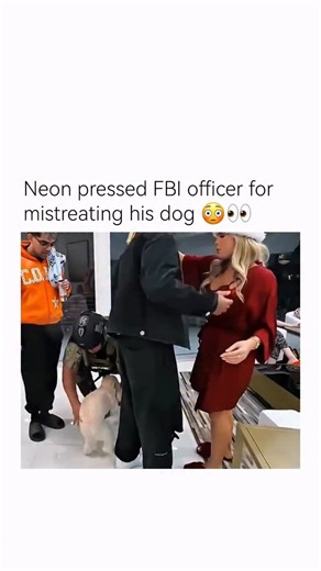 FunnyCuhh - Celebs & Steamers on Instagram: "dog breeding is the controlled reproduction of dogs with the goal of producing puppies that have specific traits related to health temperament appearance or working ability responsible breeders focus on genetics health testing and proper care to reduce inherited diseases and ensure puppies are well socialized breeding involves selecting compatible parents understanding bloodlines managing pregnancy and providing proper nutrition veterinary care and sa