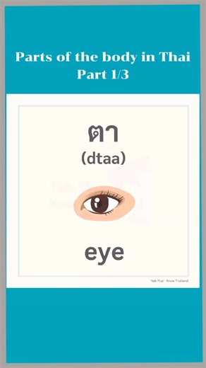 17K views · 376 reactions |  Parts of the body in Thai (Part 1/3)  _____________________________ #thailanguage #thai #learnthai #ThaiForForeigners #thaivocabulary #fblifestyle | Talk Thai - Know Thailand | Facebook