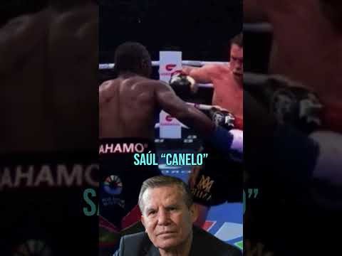 Is Chávez calling for Canelo's retirement? "I see him tired."