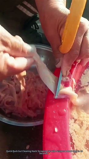 Quick Duck Gut Cleaning Hack! Scraping Fat with Scissors & Bowl Edge in 10 Seconds 🔥