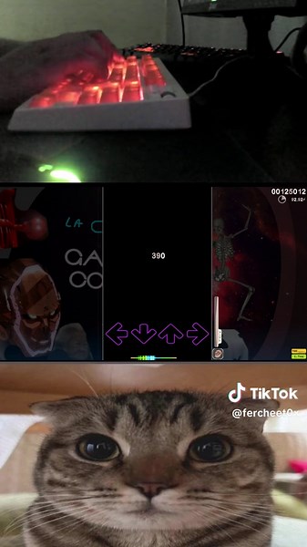 FercheetoX (Osu's version) on TikTok