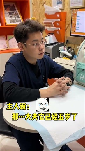 Urgent: Ferrets Poisoned! The Real Story Behind Magical Creatures Exotic Pets in Jinan