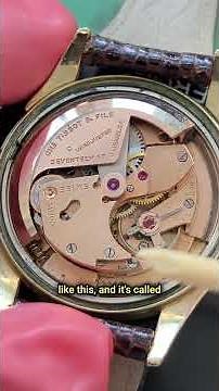 Bumper Automatics Explained in 60 Seconds #shorts