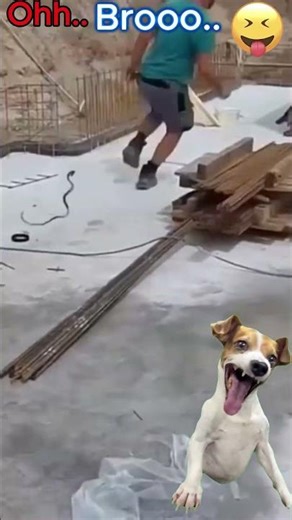 Crazy friend 😱😂 #fail #failgag #funny #funnyvideos #memes