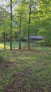 1.8M views · 22K reactions | abandoned naiborhood #abandonedplaces #abandoned_places #forgottenplaces #abandonedhouse #abandonedbuilding #forgotten #abandonedphotography #decay #abandon_seekers #urbexing | ExploreThings | Facebook