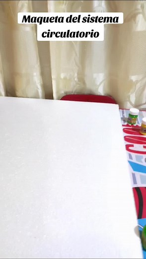 Maqueta creativa del sistema circulatorio