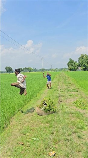 Crazy Cow Chaos! Farmer’s Grass Cutting Turns Hilarious 😱🐄