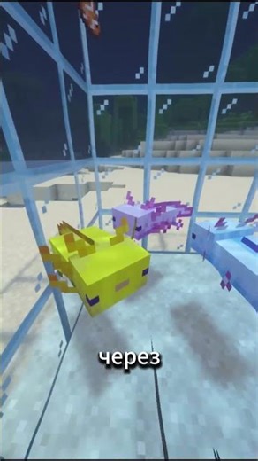 Самый короткий путь к БАНУ на сервере IP: mc.teraland.ru