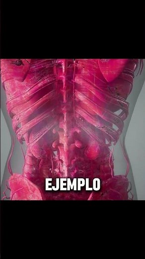 ¿Qué es la homeostasis y cómo nuestro cuerpo la mantiene en equilibrio? #shorts #ciencia