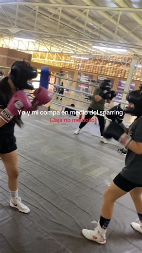 Sparring de Boxeo Entre Amigos: Risitas Garantizadas