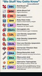 Bio basics you must know🧠✨ #BioFacts #StudyShorts #MedicalBasics