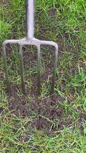 Tom Strowlger on Instagram: "Thin Lawn Patch Repair 🌱 Please do watch and listen along 👍 I’ve got a 10% discount promo code GWTLAWN2026 for you at www.bostonseeds.com @bostonseeds on lawn seed, fertiliser, mini handheld spreaders and lawn drop spreaders I’ve got a 10% discount promo code GWT10 for you at www.fieldcompost.co.uk @field_compost on Field No.4 Organic Fine Grade Lawn Dressing To buy Everedge Classic Lawn Edging please use my promo code GWT26CLASSIC for 10% off at www.everedge.co.uk