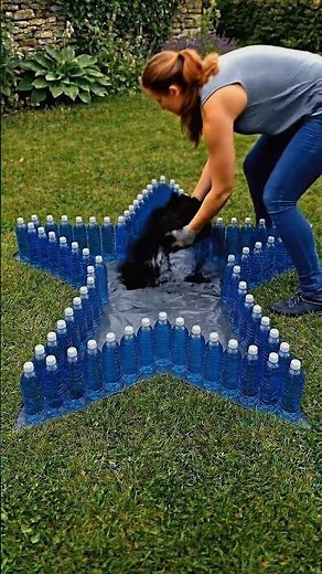 Plastic Bottles Turn Into a Stunning Garden Bed 🌸😳