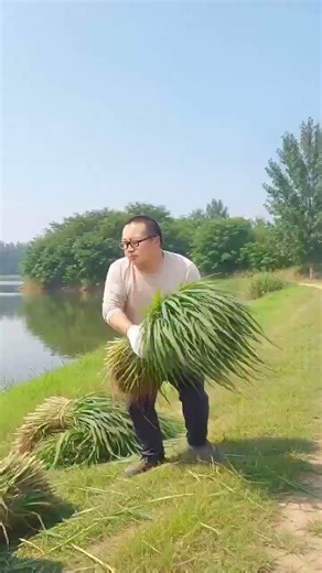 🌾🚜 Amazing Grass Cutting & Throwing Machine | Smart Farming Technology in Action! 🔥🌱