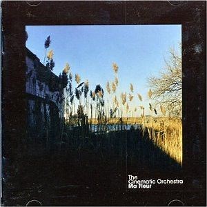 Paroles et traduction de la chanson «To Build A Home» par The Cinematic Orchestra
