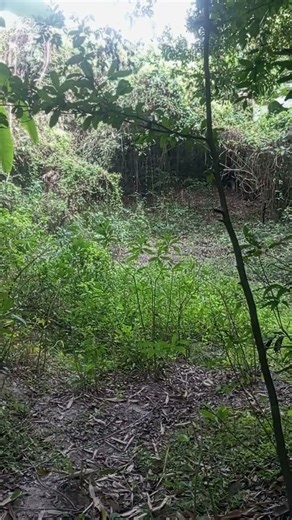 Great talk 5 #philosophy #motivation