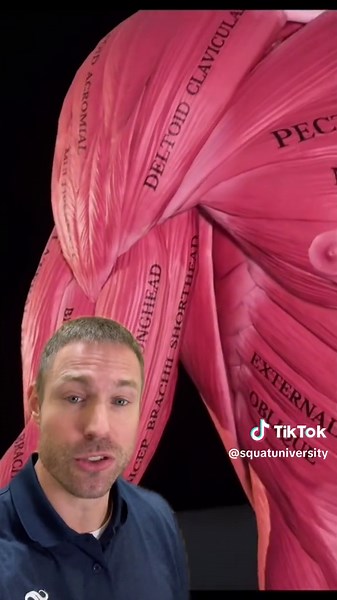 How to Correct Muscle Imbalance with Bicep Curls