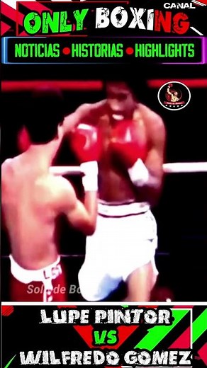 The Great Boxing Battle Between Lupe Pintor and Wilfredo Gomez