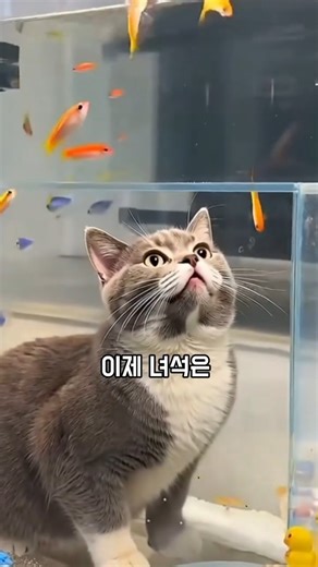 잠시만요, 고양이가 물속에서 숨을 쉰다고?